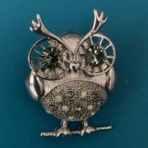 NEW Wisdom Night Owl Vintage Pin
